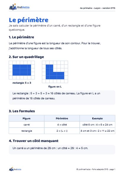 Aperçu de la fiche DYS Le périmètre