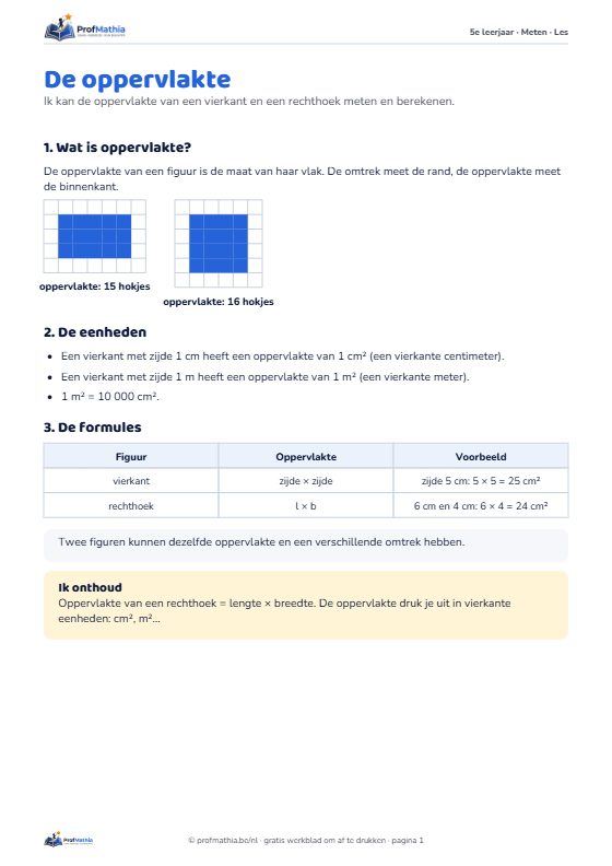 Voorbeeld van het werkblad De oppervlakte – 5e leerjaar