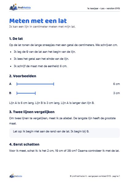 Voorbeeld van het DYS-werkblad Meten met een lat