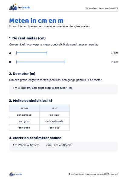 Voorbeeld van het DYS-werkblad Meten in cm en m