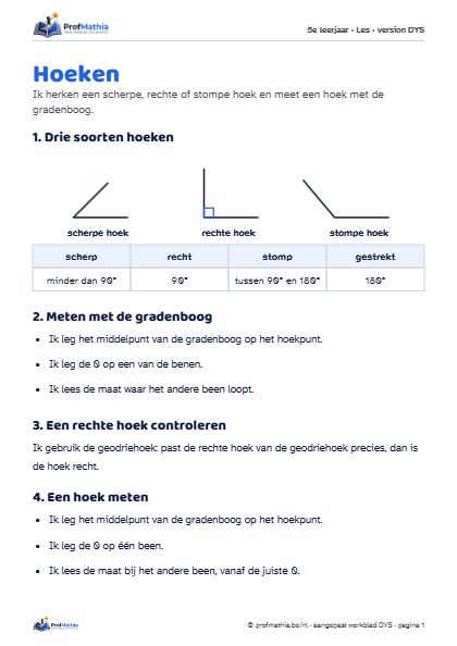 Voorbeeld van het DYS-werkblad Hoeken