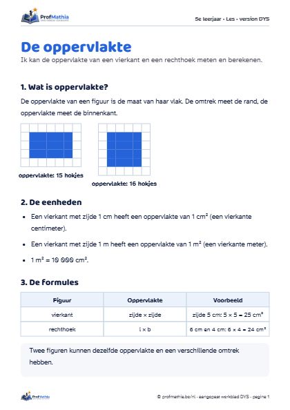 Voorbeeld van het DYS-werkblad De oppervlakte
