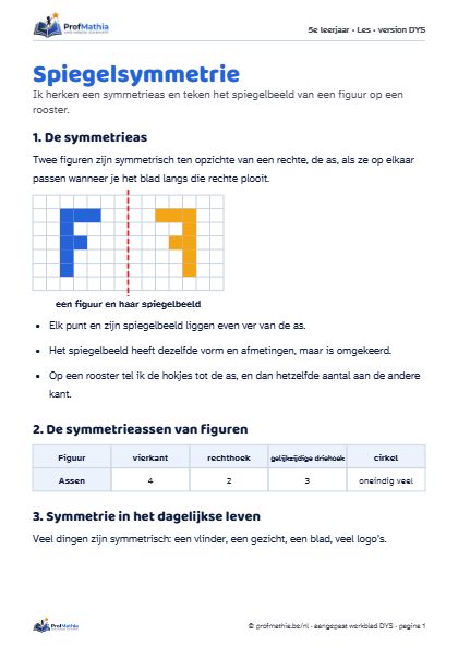 Voorbeeld van het DYS-werkblad Spiegelsymmetrie