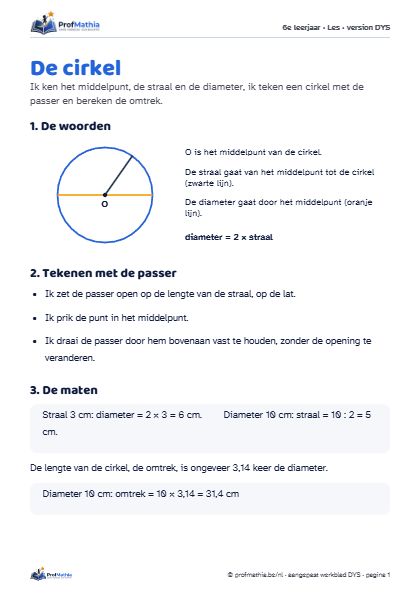 Voorbeeld van het DYS-werkblad De cirkel